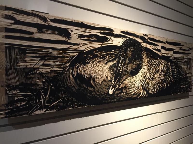 R. Keith Rendall “Eider Duckon Nest” woodcut